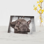 French Bulldog Kaart (Gele Bloem)