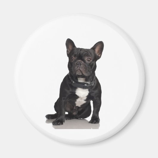 French Bulldog Magneet (Voorkant)