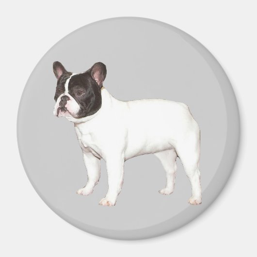 French Bulldog Magnet (Devant)