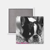 French Bulldog Magnet (Recto/Verso)
