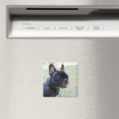French Bulldog Magnet Magneet (Insitu (Vaatwasser))