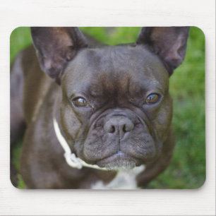 French Bulldog Muismat