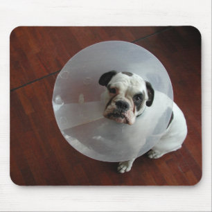 French Bulldog Muismat