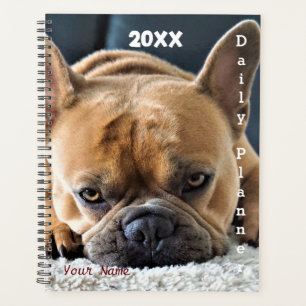 French Bulldog - Planificateur quotidien- HAMbWG