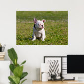 French Bulldog Poster (Thuiskantoor)