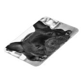French Bulldog Premium Magnet (Côté Gauche)