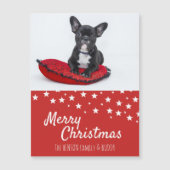 French Bulldog Puppy Photo Magnet Card (Devant)