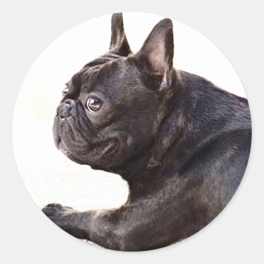 French Bulldog Ronde Sticker (Voorkant)