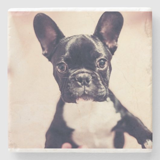 French Bulldog Stenen Onderzetter (Voorkant)