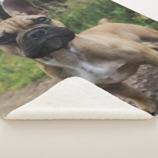 French Bulldog Throw Pillow (3/4)