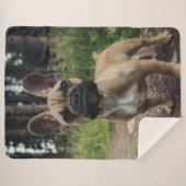 French Bulldog Throw Pillow (Voorkant (horizontaal))