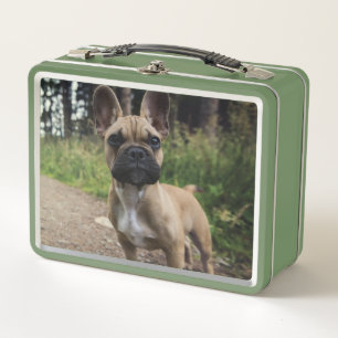 French Bulldog Throw Pillow
