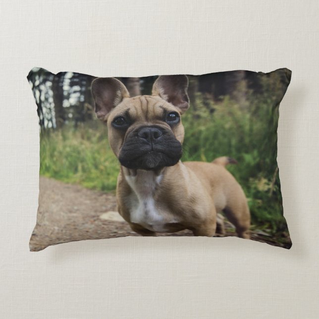 French Bulldog Throw Pillow Accent Kussen (Voorkant)
