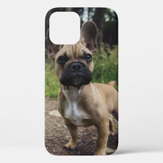 French Bulldog Throw Pillow Case-Mate iPhone Case (Achterkant)