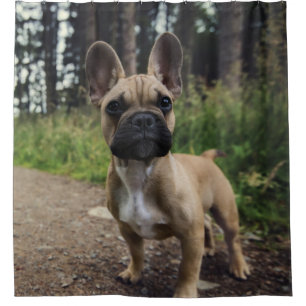 French Bulldog Throw Pillow Douchegordijn
