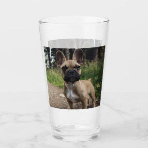 French Bulldog Throw Pillow Glas