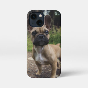 French Bulldog Throw Pillow iPhone 13 Mini Hoesje