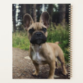 French Bulldog Throw Pillow Planner (Achterkant)