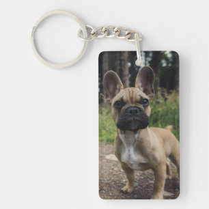 French Bulldog Throw Pillow Sleutelhanger