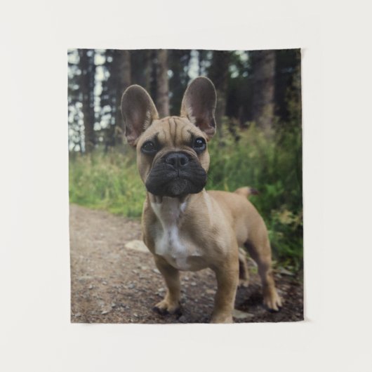 French Bulldog Throw Pillow Wandkleed (Voorkant)