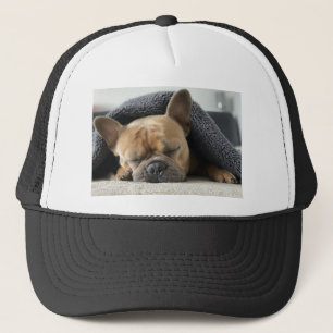 French Bulldog Trucker Pet