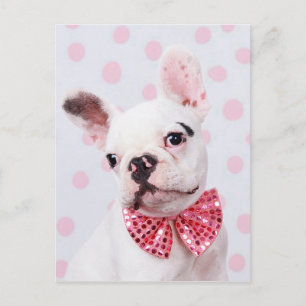 French Bulldog with Bow Tie Briefkaart