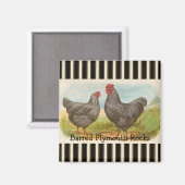 French Country Roster Hen Poultry Frigo Magnet (Recto/Verso)