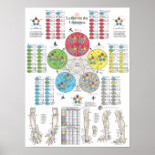 French Five Elements Acupuncture Poster (Voorkant)