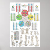 French Five Elements Acupuncture Poster (Voorkant)