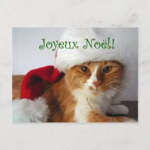 French Greeting Cat in Santa Hat DB Feestdagenkaart