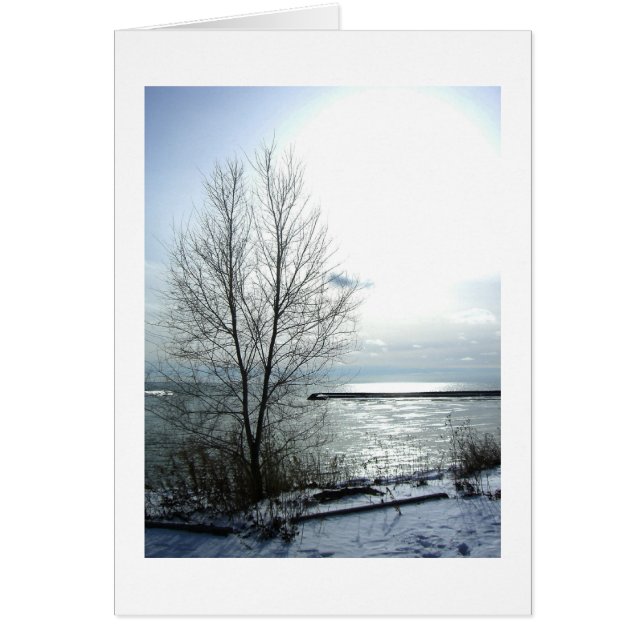 French-tous nos meilleurs voeux (Voorkant)