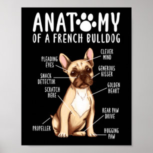 Frenchie Anatomy Of A French Bulldog Mom Dad Poster