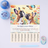 Frenchie chiot à vendre prospectus (Simple)