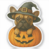 Frenchie in Pumpkin Sticker (Voorkant)