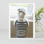 Frenchie Jailbird Bonne carte d'anniversaire (Debout devant)