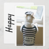 Frenchie Jailbird Happy Birthday Kaart (Voorkant / Achterkant)