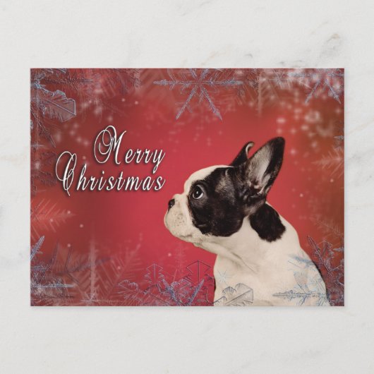 Frenchie-kerstkaart Feestdagenkaart (Voorkant)