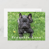 Frenchie Love Franse Bulldog Foto Briefkaart (Voorkant / Achterkant)