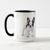 Frenchie Mok (Links)