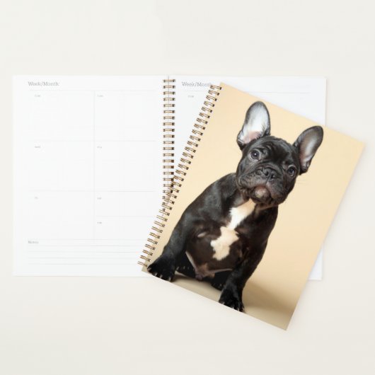 Frenchie Puppy Planner (Display)