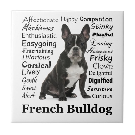 Frenchie Traits Tile Tegeltje (Voorkant)