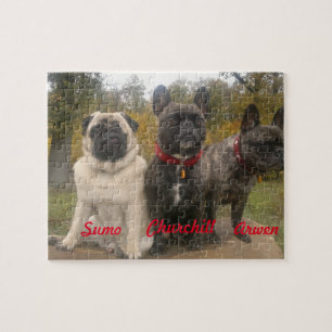 Frenchies en pugs legpuzzel