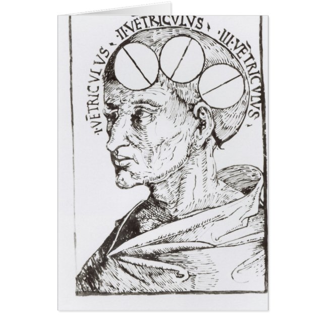 Frenologie (Voorkant)