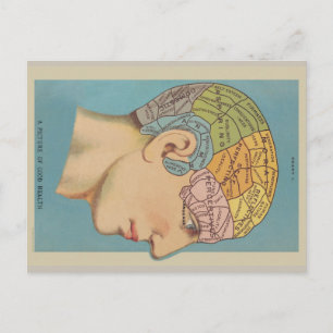 Frenologie Briefkaart