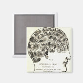 Frenologie Magneet (Voorkant / Achterkant)