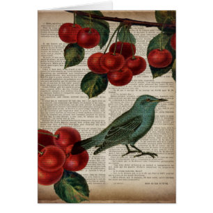 frentry bird retro botanical red cherry