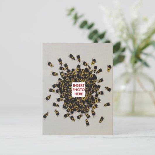 Fréquente Bee PHOTO INSERT Carte postale (Debout devant)