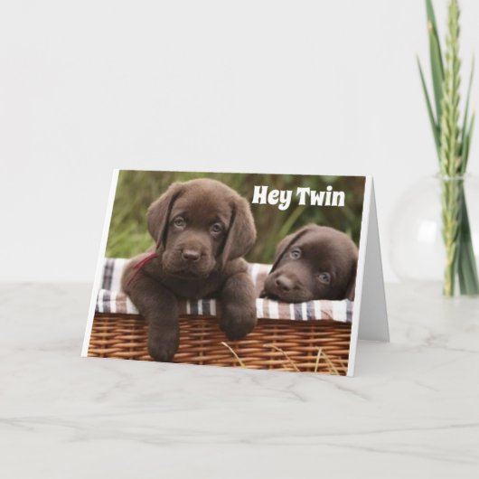 **FRÈRE JUMEAU OU SOEUR JUMELLE** CARTE D'ANNIVERS (Devant)