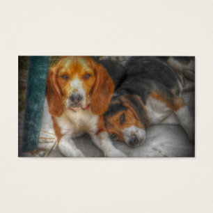 Frères Beagles