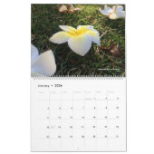 Frères d'aventure : Calendrier d'Hawaï (Jan 2026)